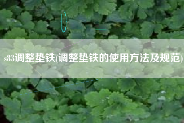s83<a href='http://www.qdqingdahx.com.cn/jichuangdiantiexilie/' target='_blank' title='調(diào)整墊鐵' ><strong>調(diào)整墊鐵</strong></a>(調(diào)整墊鐵的使用方法及規(guī)范)